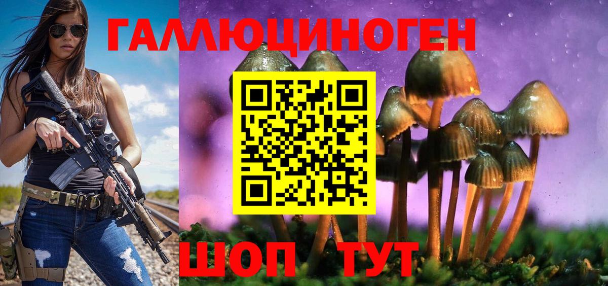 Белово  Псилоцибиновые грибы Cubensis  Вход с VPN 